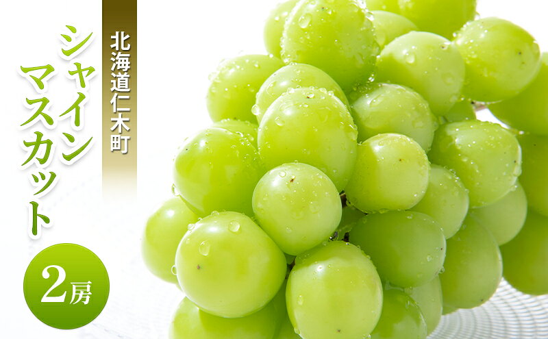 【ふるさと納税】[先行受付] 北海道 仁木町 シャインマスカット 2房 ブドウ 葡萄 マスカット 果物 くだもの フルーツ [嶋田茂農園匠]　お届け：2026年9月下旬～2026年10月下旬 サムネイル2