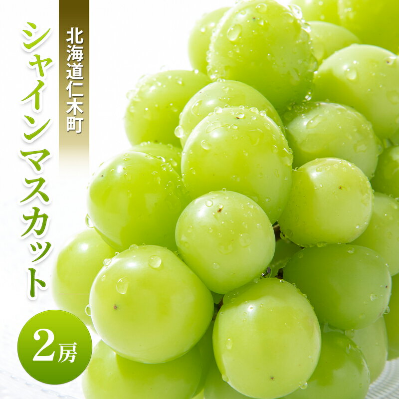 [先行受付] 北海道 仁木町 シャインマスカット 2房 ブドウ 葡萄 マスカット 果物 くだもの フルーツ [嶋田茂農園匠]　お届け：2026年9月下旬～2026年10月下旬