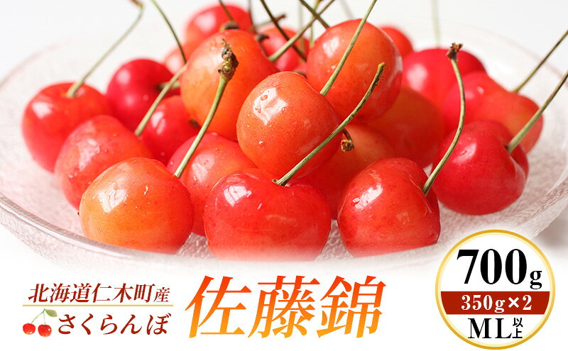 【ふるさと納税】先行受付 北海道 仁木町産 さくらんぼ 佐藤錦 700g (350g×2) ML以上 旬の果物 サクランボ チェリー フルーツ 果物 果物類 仁木町 仁木 [伊賀農園]　お届け：2026年7月初旬～中旬 サムネイル2