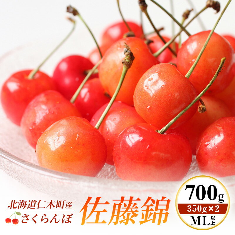 先行受付 北海道 仁木町産 さくらんぼ 佐藤錦 700g (350g×2) ML以上 旬の果物 サクランボ チェリー フルーツ 果物 果物類 仁木町 仁木 [伊賀農園]　お届け：2026年7月初旬～中旬