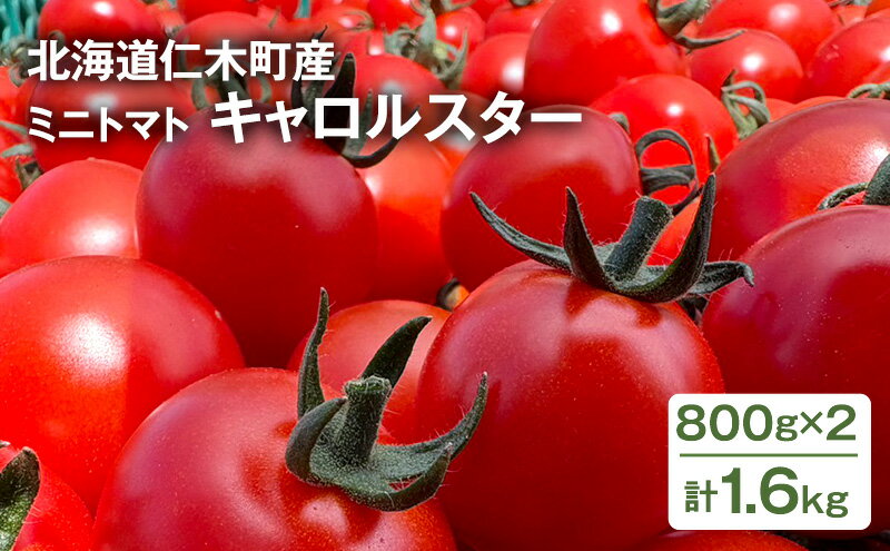 【ふるさと納税】[先行受付] 北海道 仁木町産 ミニトマト キャロルスター 1.6kg （64粒～100粒）トマト 野菜 国産 プチトマト 甘み 使いやすい サラダ お弁当 家庭用 子供に人気 リコピン [REDA FARM]　お届け：2026年7月20日～8月31日 - 画像2