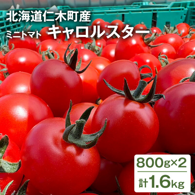 [先行受付] 北海道 仁木町産 ミニトマト キャロルスター 1.6kg （64粒～100粒）トマト 野菜 国産 プチトマト 甘み 使いやすい サラダ お弁当 家庭用 子供に人気 リコピン [REDA FARM]　お届け：2026年7月20日～8月31日