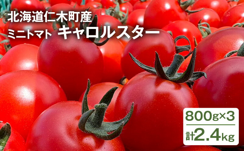 【ふるさと納税】[先行受付] 北海道 仁木町産 ミニトマト キャロルスター 2.4kg （96粒～150粒）トマト 野菜 国産 プチトマト 甘み 使いやすい サラダ お弁当 家庭用 子供に人気 リコピン [REDA FARM]　お届け：2026年7月20日～8月31日 - 画像2