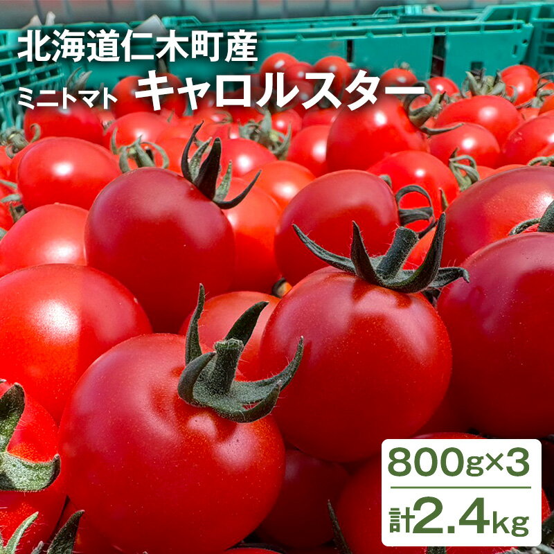 [先行受付] 北海道 仁木町産 ミニトマト キャロルスター 2.4kg （96粒～150粒）トマト 野菜 国産 プチトマト 甘み 使いやすい サラダ お弁当 家庭用 子供に人気 リコピン [REDA FARM]　お届け：2026年7月20日～8月31日