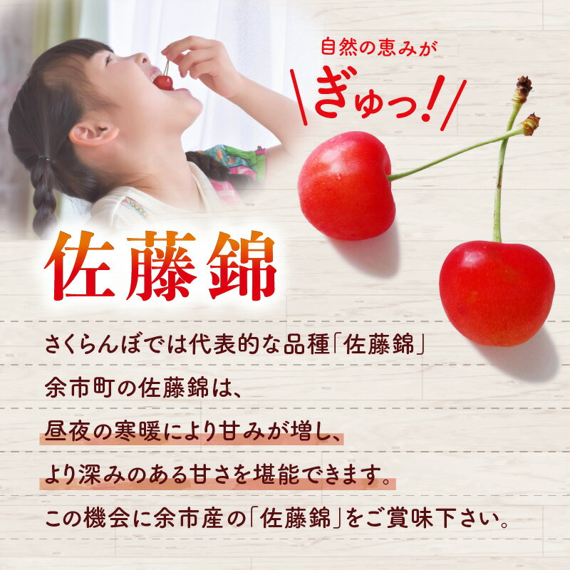 【ふるさと納税】【先行受付：2026年7月初旬以降発送分】さくらんぼ（佐藤錦） 1kg 北海道 余市 余市町農業協同組合 フルーツ デザート 果物 季節限定 グルメ とれたて 甘み 鮮やかな紅色 冷蔵 お取り寄せ 北海道 余市町 送料無料 - 画像2