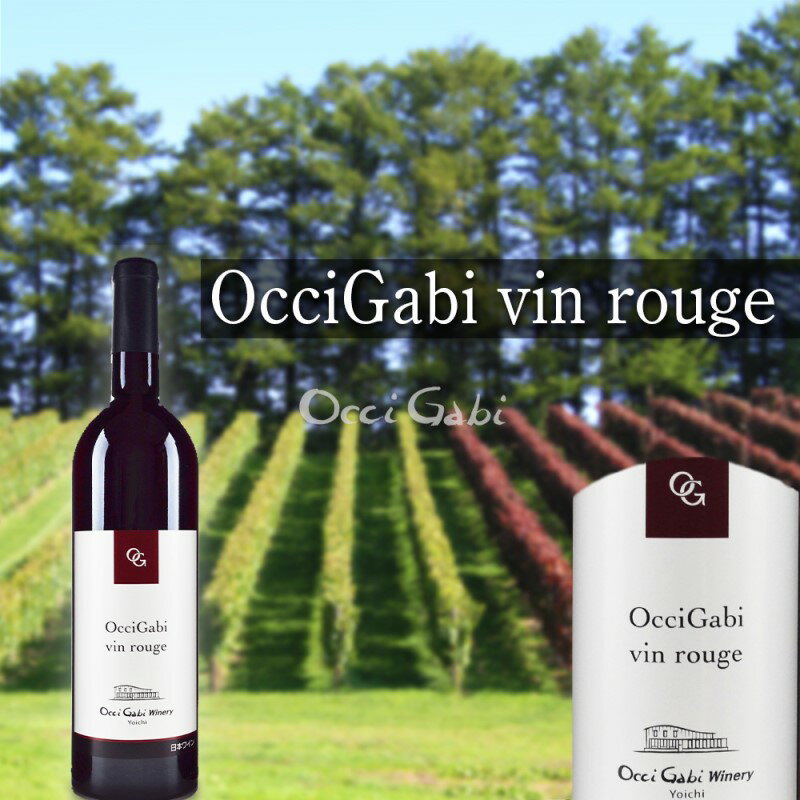 【ふるさと納税】オチガビ ヴァン ルージュ 赤ワイン 辛口 複雑味 ワイン お酒 酒 アルコール ギフト 贈り物 プレゼント 誕生日 記念日 お祝い 内祝い 手土産 母の日 父の日 敬老の日 家飲み 家族 国産 混合 葡萄 ぶどう ブドウ おいしい お取り寄せ 北海道 余市町 送料無料 サムネイル3