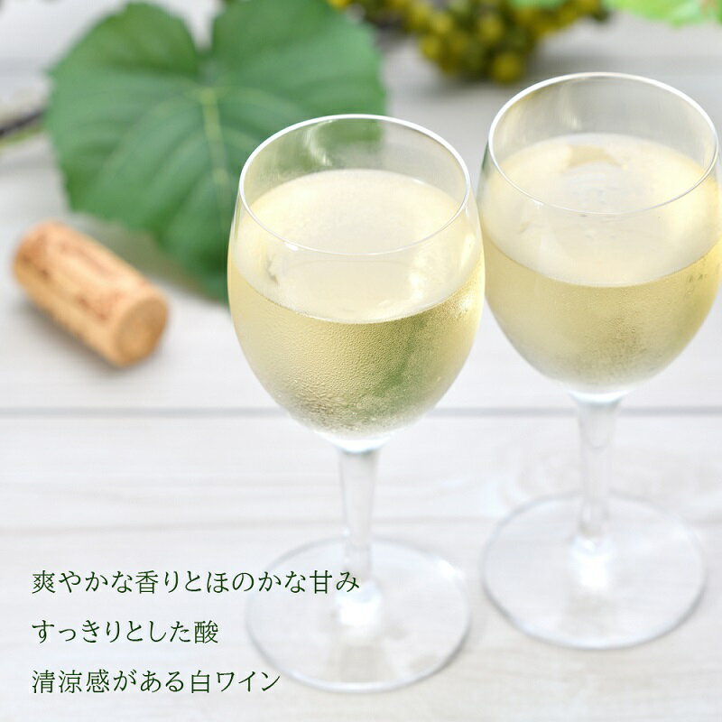 【ふるさと納税】＜葡萄作りの匠 田崎正伸＞ミュラートゥルガウ 750ml 白ワイン 中口 ワイン 清涼感 爽やかな香り ほのかな甘み ぶどう 酒 果実酒 鶏肉料理 白身魚 牡蠣 ホタテ 魚介類 贈り物 お歳暮 御中元 ギフト 芳醇な香り 果実感 お取り寄せ 北海道 余市町 送料無料 サムネイル2