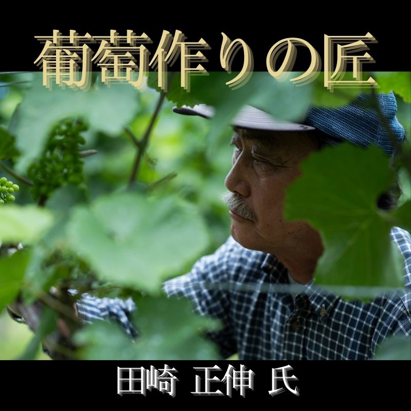 【ふるさと納税】北海道ワイン 余市 葡萄作りの匠 ピノ・ノワール セット 750ml × 2本 専用箱入り 田崎正伸 北島秀樹 赤ワイン 白ワイン ブラン・ド・ノワール GI北海道 明るいルビー色 チェリーやイチゴのような赤い果実の香り 程よい酸味 贈り物 北海道 余市町 送料無料 サムネイル2