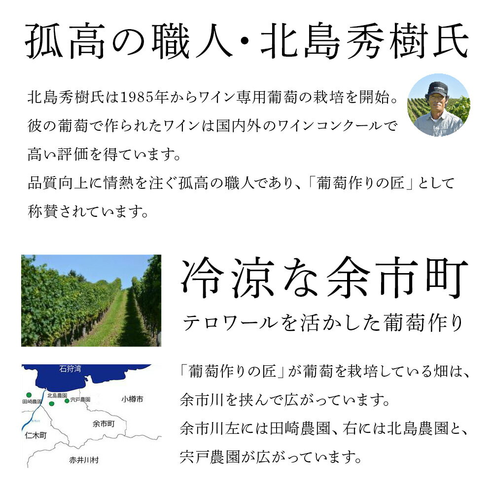 【ふるさと納税】葡萄作りの匠 北島秀樹ピノ・ノワール ブラン・ド・ノワール2023 750ml 2本 余市町産 ぶどう 酒 洋酒 果実酒 アルコール 果実味 北海道産 お取り寄せ 送料無料 サムネイル2