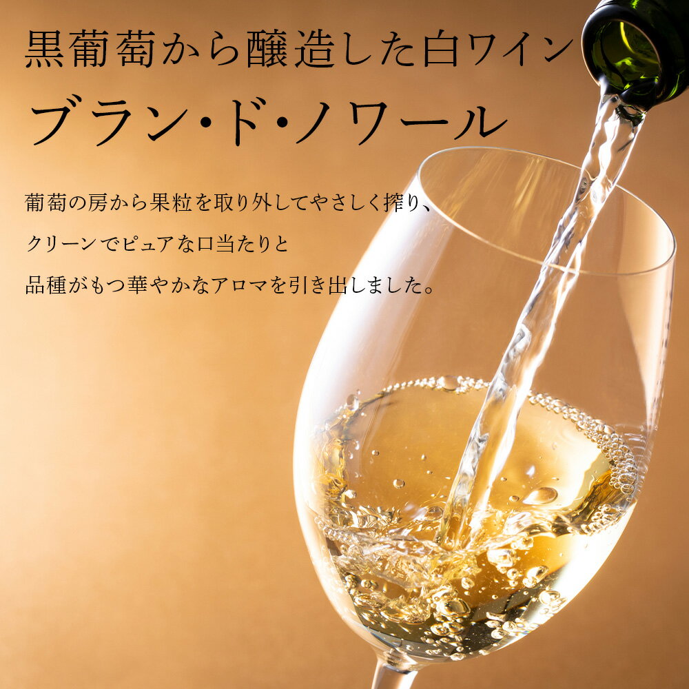 【ふるさと納税】葡萄作りの匠 北島秀樹ピノ・ノワール ブラン・ド・ノワール2023 750ml 2本 余市町産 ぶどう 酒 洋酒 果実酒 アルコール 果実味 北海道産 お取り寄せ 送料無料 サムネイル3