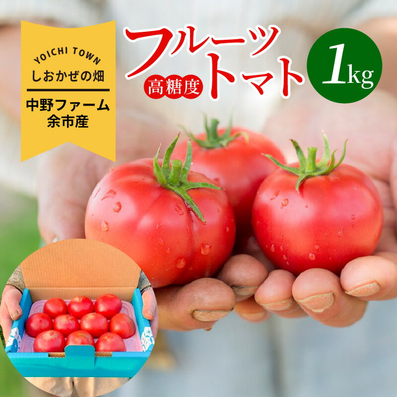 2026年発送【先行予約】しおかぜの畑 中野ファーム 余市産 フルーツトマト 1kg 2026年初夏発送 高糖度トマト シリパ岬 小ぶり トマト 濃厚な味わい バランス 北海道 余市 送料無料