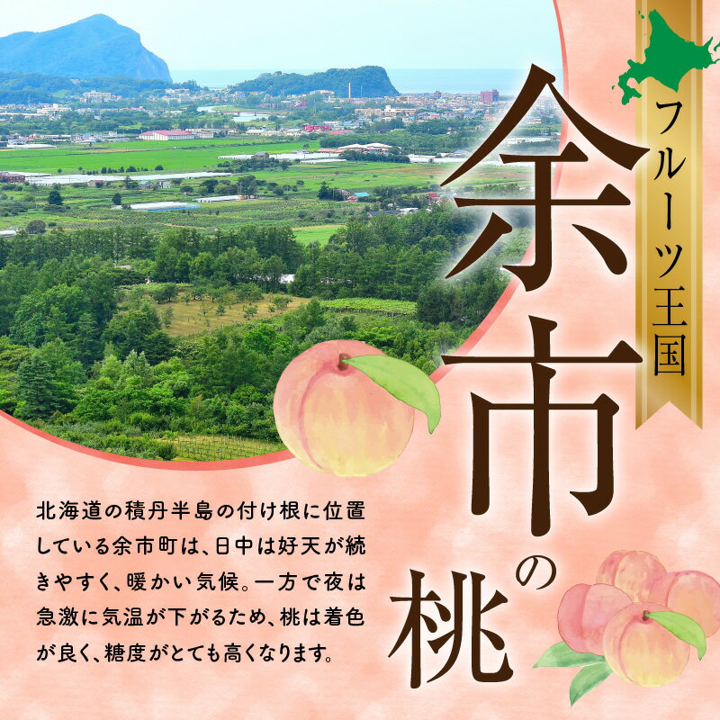 【ふるさと納税】【先行予約：2026年8月中旬以降発送】フルーツ王国余市産「桃」 2kg ・ 3kg【ニトリ観光果樹園】【内容量をお選びください】 フルーツ 果物 ジャム ヨーグルト ケーキ ジューシー 甘い 完熟 旬 夏の果物 国産桃 希少 北海道 余市町 お取り寄せ 送料無料 サムネイル2