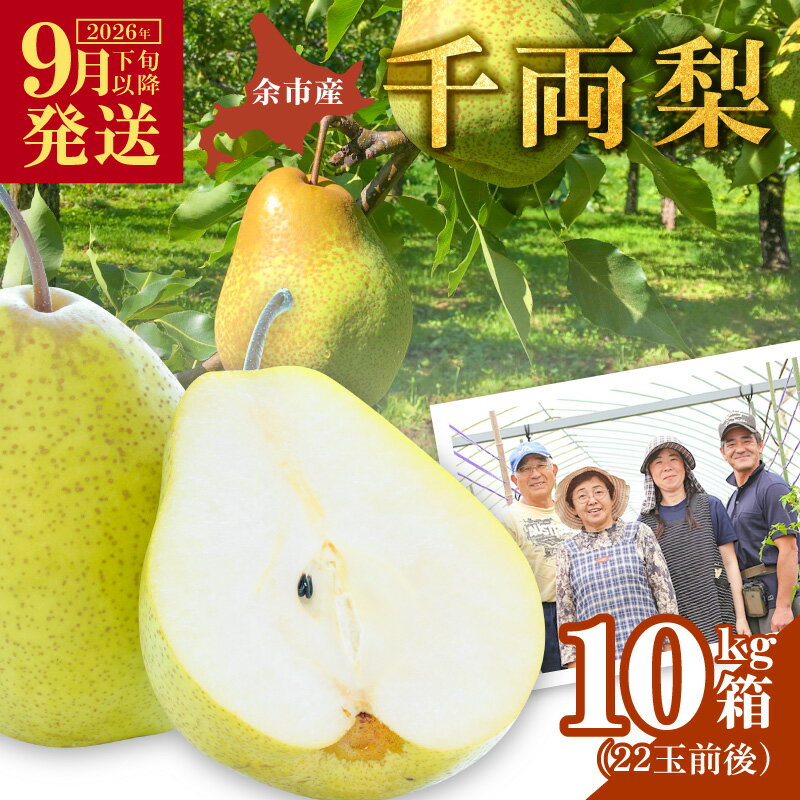 【ふるさと納税】【2026年9月下旬以降発送】千両梨 10kg箱 ( 22玉前後 ) 北海道産 余市町産 シャキシャキ食感 さっぱり甘み 梨 幻の梨 青梨 季節限定 季節の味覚 梨 果物 フルーツ 贈り物 ギフト 希少品種 限定生産 市場に出回らない みずみずしい 北海道 余市町 送料無料 - 画像2