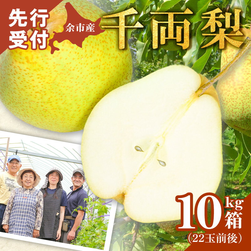 【2026年9月下旬以降発送】千両梨 10kg箱 ( 22玉前後 ) 北海道産 余市町産 シャキシャキ食感 さっぱり甘み 梨 幻の梨 青梨 季節限定 季節の味覚 梨 果物 フルーツ 贈り物 ギフト 希少品種 限定生産 市場に出回らない みずみずしい 北海道 余市町 送料無料