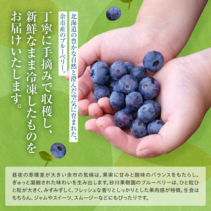 【ふるさと納税】余市の砂川果樹園が贈る 冷凍ブルーベリー 500g×2袋 チャック付き袋 1Kg 大粒 手摘み みずみずしい 無添加 産地直送 送料無料 新鮮冷凍 フレッシュ 国産 フルーツ 冷凍フルーツ 果実 ベリー類 スーパーフード 甘酸っぱい 送料無料 北海道 余市町 サムネイル2