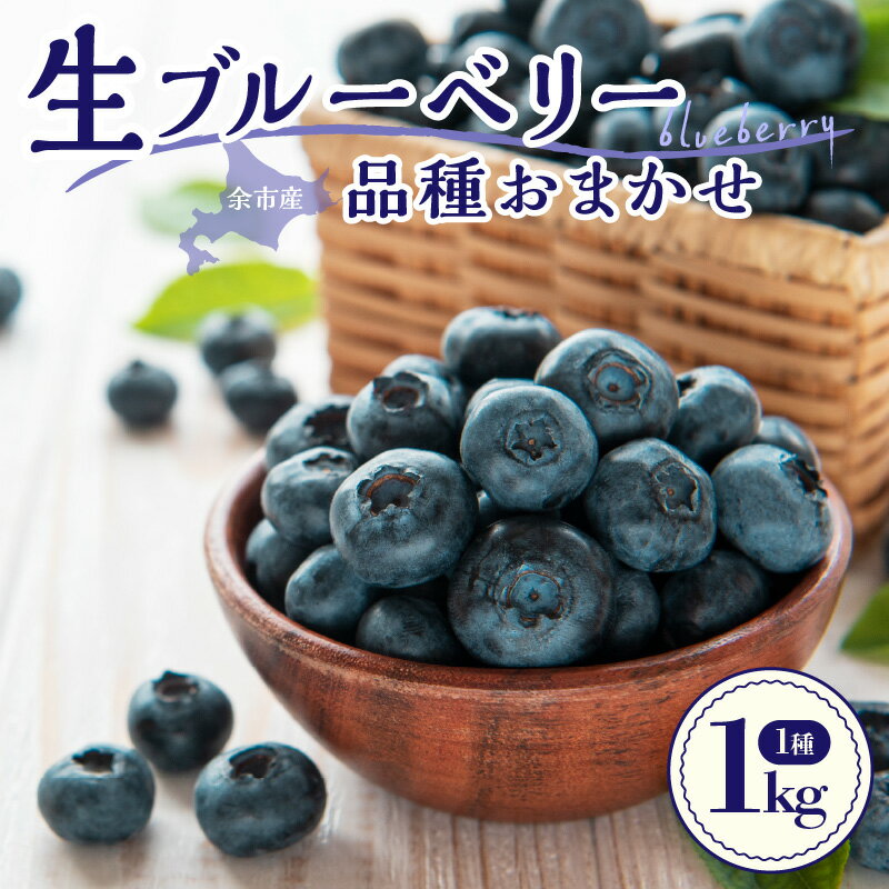 【2026年7月中旬頃より発送】海外も認める高品質 生ブルーベリー 1kg ( 500g×2 ) 日本最大級農場産 手摘み収穫 アイケイファーム余市 ブルーベリー 順次発送 食べ比べ 青果 フルーツ 果物 スムージー ジュース ヨーグルト ジャム 北海道 余市町 送料無料