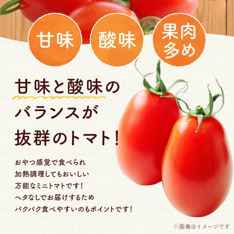 【ふるさと納税】【先行予約：2026年7月下旬頃より発送】【容量が選べる！】NicoFarm Nicoロッソ（ミニトマト） 甘いトマト 果肉多め ジューシー 縦長形状 ヘタなし 食べやすい パクパク食べられる 北海道産 トマト農家 こだわり栽培 フルーツ感覚 北海道 余市町 送料無料 - 画像3