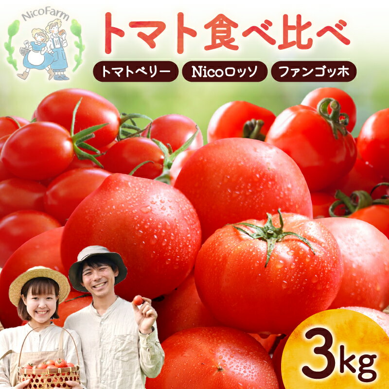 【先行予約2026年7月】樹上完熟！トマト3種食べ比べ 各1kg ミニ・中玉セット トマトベリー・Nicoロッソ・ファンゴッホ 完熟トマト 樹上完熟 ミニトマト 中玉トマト 甘いトマト ジューシー フルーツトマト ハート型 可愛い 野菜 北海道 余市町 送料無料
