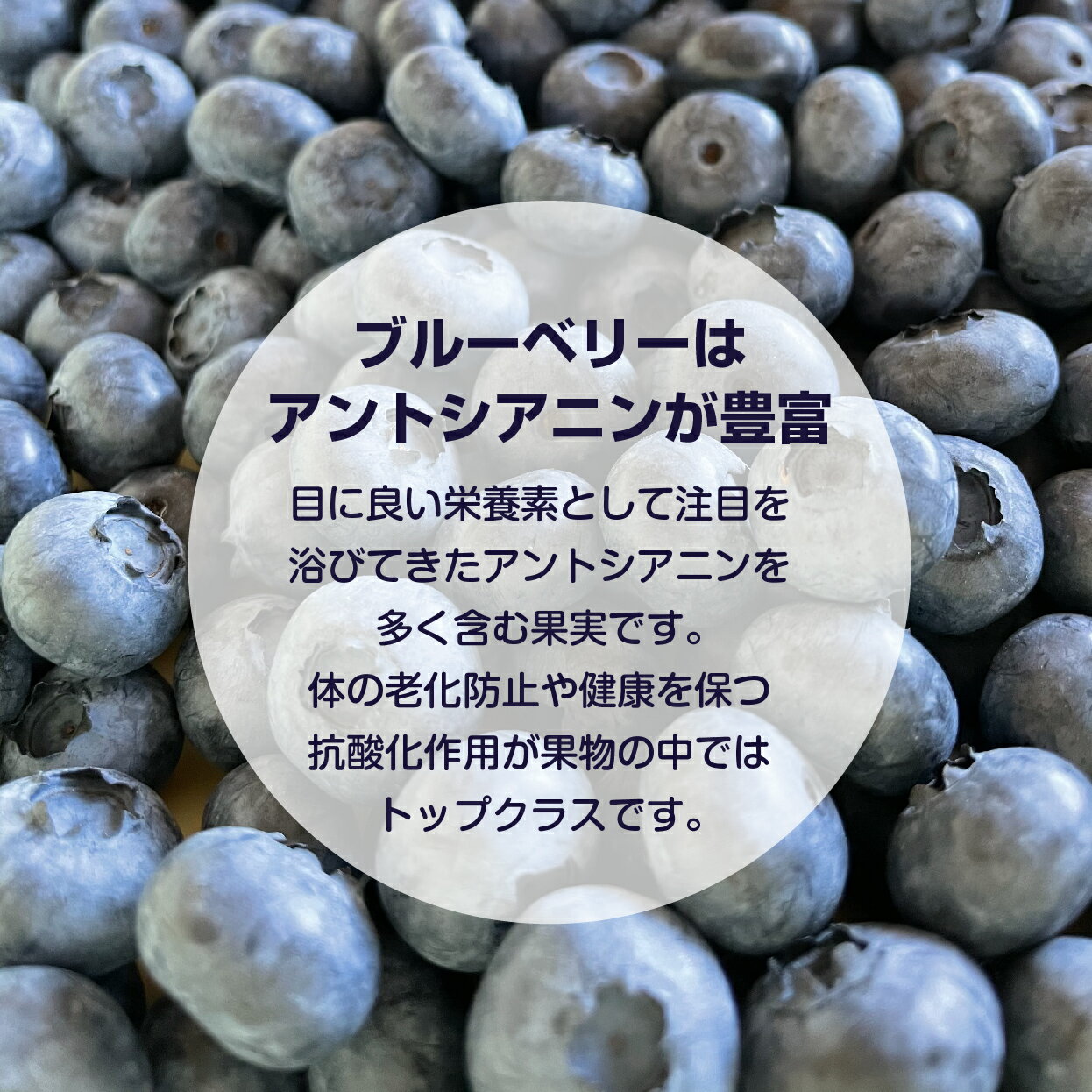【ふるさと納税】【余市産無農薬】冷凍ブルーベリー 700g 残留農薬検査済み 2025年収穫 フルーツ 果物 お取り寄せ スムージー ジュース ヨーグルト ジャム アレンジ 送料無料 北海道 余市町 サムネイル3