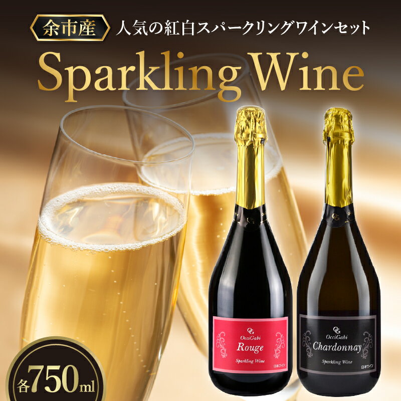 【2026年2月以降発送】特別なおもてなしに スパークリング ワイン 紅白セット 750ml ×各1本 オチガビワイナリー 北海道 余市町産 飲み比べ ぶどう アルコール お酒 濃厚 フレッシュ 飲みやすい ギフト お祝い パーティー お取り寄せ 送料無料