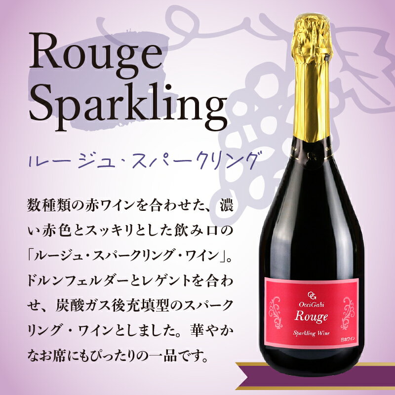 【ふるさと納税】【2026年2月以降発送】特別なおもてなしに スパークリング ワイン 紅白セット 750ml ×各1本 オチガビワイナリー 北海道 余市町産 飲み比べ ぶどう アルコール お酒 濃厚 フレッシュ 飲みやすい ギフト お祝い パーティー お取り寄せ 送料無料 サムネイル3