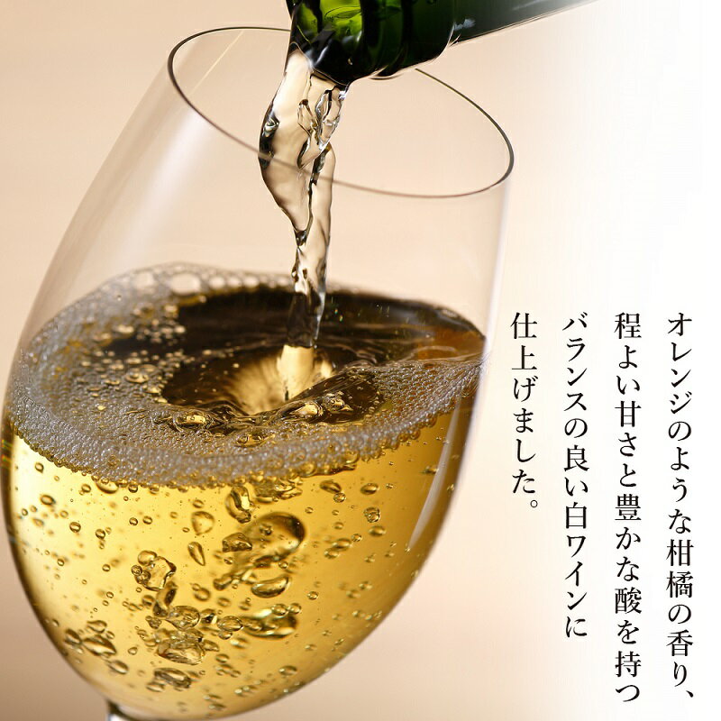 【ふるさと納税】 葡萄作りの匠 北島秀樹 ケルナー 2020 甘口 ＜ 北海道ワイン ＞ 国産ワイン 余市町産ワイン 白ワイン 甘口のワイン GI北海道認定ワイン 匠 お酒 750ml プレゼント 贈り物 ギフト お祝い パーティー 記念日 誕生日 北海道 余市町 送料無料 サムネイル3