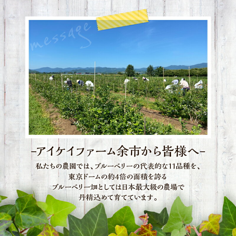 【ふるさと納税】高評価★4.88 冷凍ブルーベリー 500g×2袋 (チャック付き袋)【アイケイファーム余市】 フルーツ 果物 お取り寄せ スムージー ジュース ヨーグルト ジャム アレンジ 送料無料 北海道 余市町 サムネイル2