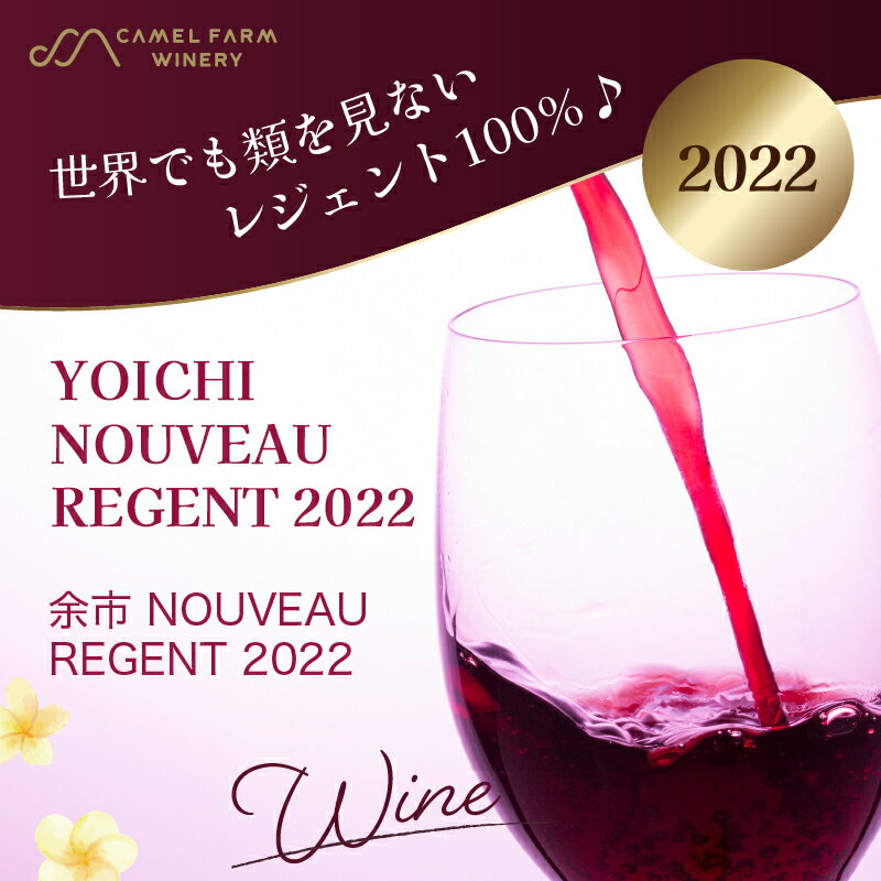 【ふるさと納税】余市町産 ぶどう使用 余市 NOUVEAU 2022 750ml 2本 セット キャメルファーム レジェント100% 北海道 ワイン 赤ワイン ヌーヴォー 果実味 お祝い お取り寄せ 送料無料 サムネイル2