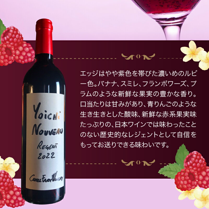 【ふるさと納税】余市町産 ぶどう使用 余市 NOUVEAU 2022 750ml 2本 セット キャメルファーム レジェント100% 北海道 ワイン 赤ワイン ヌーヴォー 果実味 お祝い お取り寄せ 送料無料 サムネイル3