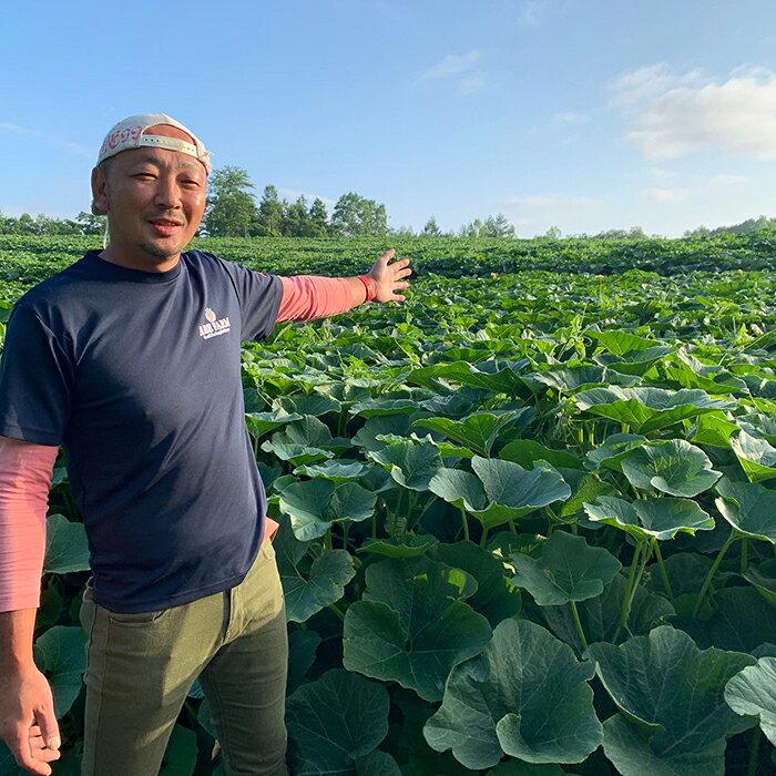 【ふるさと納税】空に映る一億の金貨（ABE　FARM） - 画像3