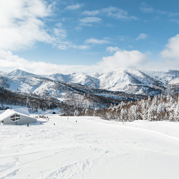 【ふるさと納税】（1日券）キロロリゾート　ゴンドラ・リフト券　 1枚 【ICカード】 - 画像3