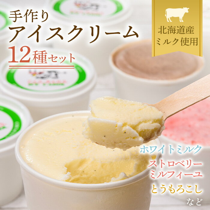 《2026年4月発送》 北海道産 手作りアイスクリーム 120ml×12個セット(おまかせ詰め合わせ) 南幌町 道産牛乳 スイーツ デザート NP1-023