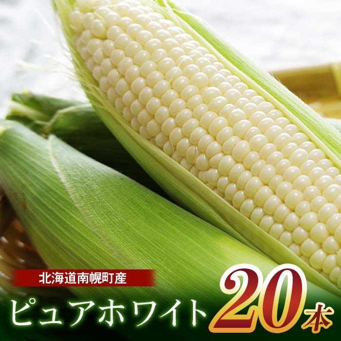 令和8年発送 北海道産 とうもろこし ピュアホワイト20本 朝採れ 一番果 産地直送 数量限定 南幌町 NP1-172