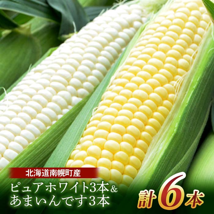 令和8年発送 北海道産 とうもろこし 食べ比べ ピュアホワイト3本＆あまいんです3本 朝採れ 一番果 産地直送 南幌町 NP1-177