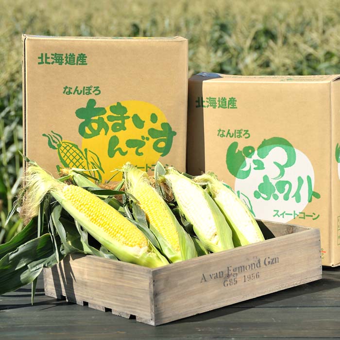 【ふるさと納税】令和8年発送 北海道産 とうもろこし 食べ比べ ピュアホワイト3本＆あまいんです3本 朝採れ 一番果 産地直送 南幌町 NP1-177 - 画像3