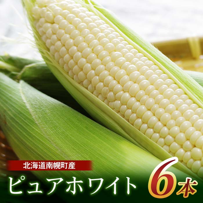 令和8年発送 北海道産 とうもろこし ピュアホワイト6本 朝採れ 一番果 産地直送 とうきび 南幌町 NP1-178