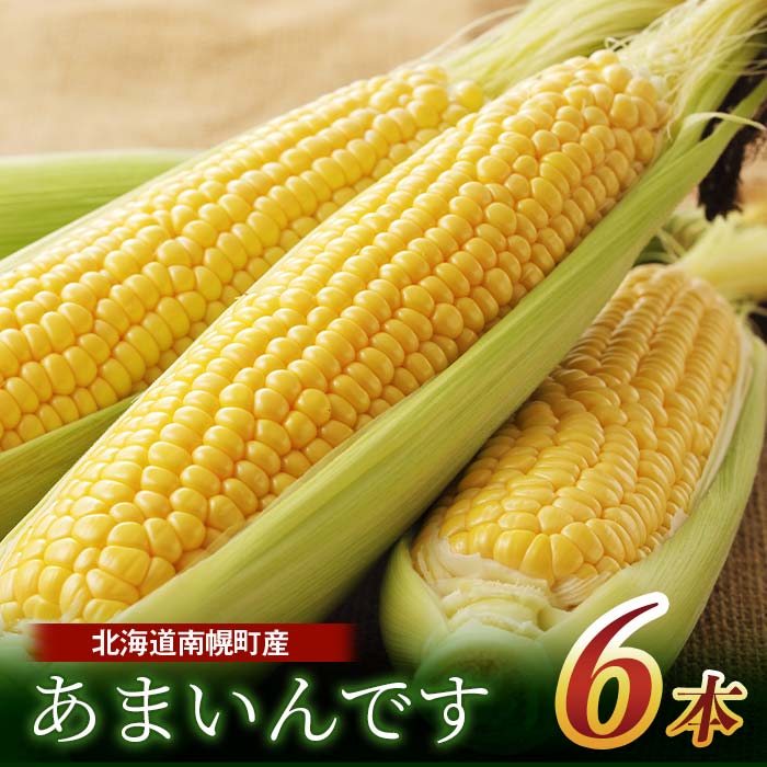 令和8年発送 北海道産 とうもろこし あまいんです6本 朝採れ 一番果 産地直送 NP1-179
