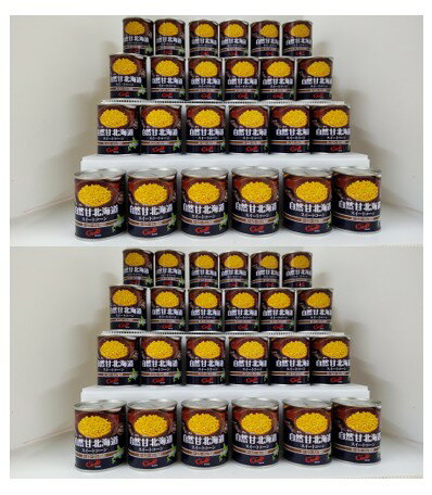 自然甘ホールコーン 48本