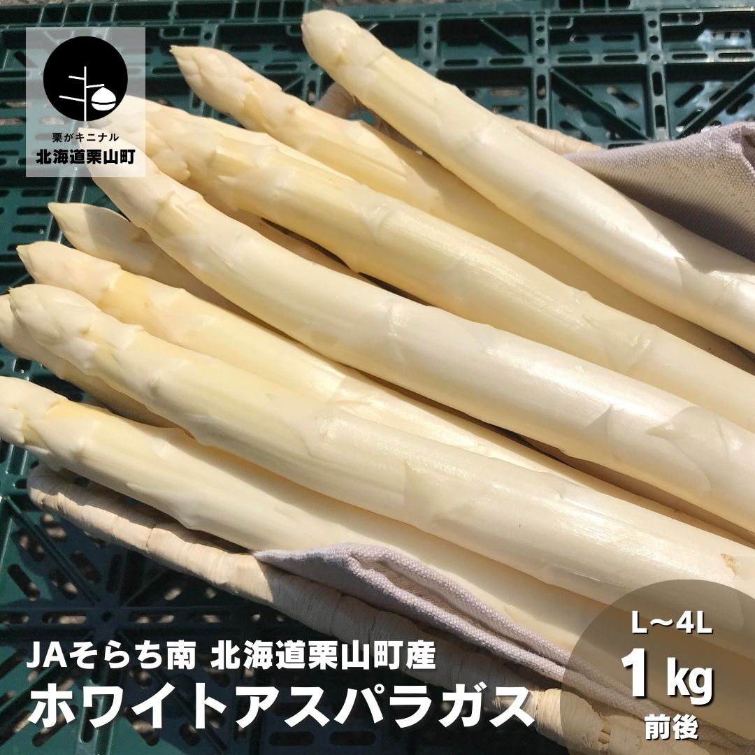 【先行予約】春一番！JAそらち南の味覚「ホワイトアスパラガス」1kg前後