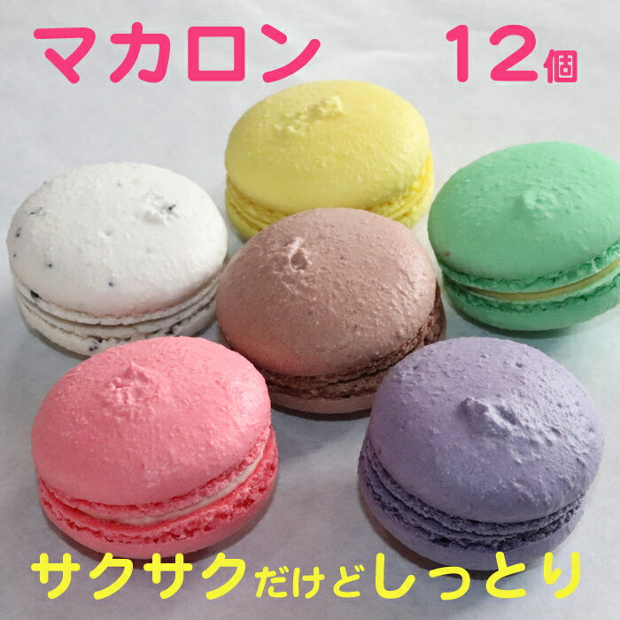 大黒屋菓子舗のマカロン 6種 各2個入 | ふるさと納税 お菓子 洋菓子 マカロン ギフト 北海道 スイーツ 送料無料 冷凍