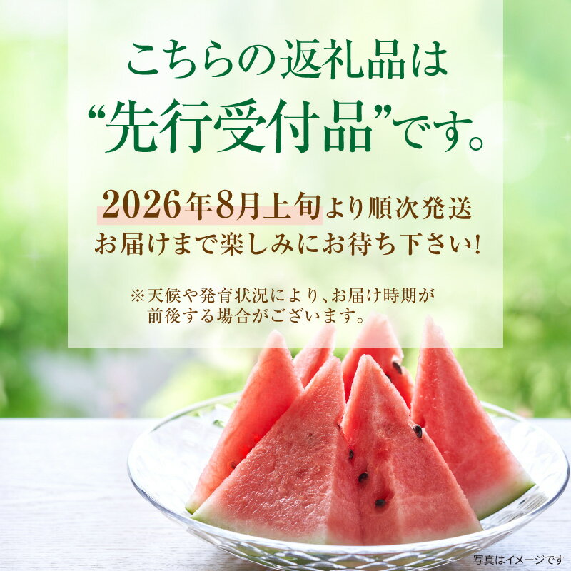 【ふるさと納税】令和8年産 先行予約 北海道雨竜町産 小玉スイカ マダーボール 2玉【関東地方までの配送】小ぶりだからこそ極上。最後まで美味しい完熟スイカ 赤肉 スムージー ラグビーボール型 西瓜 甘い 果物 フルーツ 産地直送 お取り寄せ 北海道 雨竜町 送料無料 - 画像2