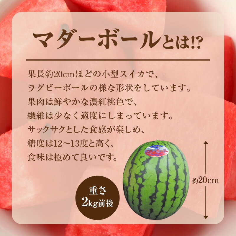 【ふるさと納税】令和8年産 先行予約 北海道雨竜町産 小玉スイカ マダーボール 2玉【関東地方までの配送】小ぶりだからこそ極上。最後まで美味しい完熟スイカ 赤肉 スムージー ラグビーボール型 西瓜 甘い 果物 フルーツ 産地直送 お取り寄せ 北海道 雨竜町 送料無料 - 画像3