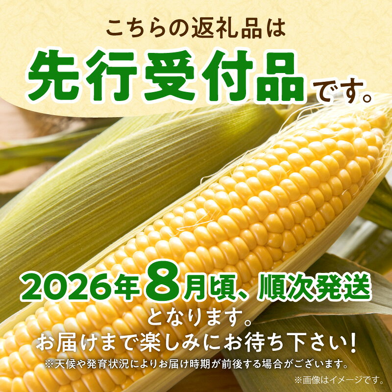 【ふるさと納税】【令和8年産先行受付】生で食べられる！高糖度とうもろこし サニーショコラ 10本（Lサイズ）スイートコーン 野菜 コーン 産地直送 とうきび お取り寄せ BBQ キャンプ 甘い コーンマヨ コーンスープ 【配送不可地域：沖縄・離島】北海道 雨竜町 送料無料 - 画像2