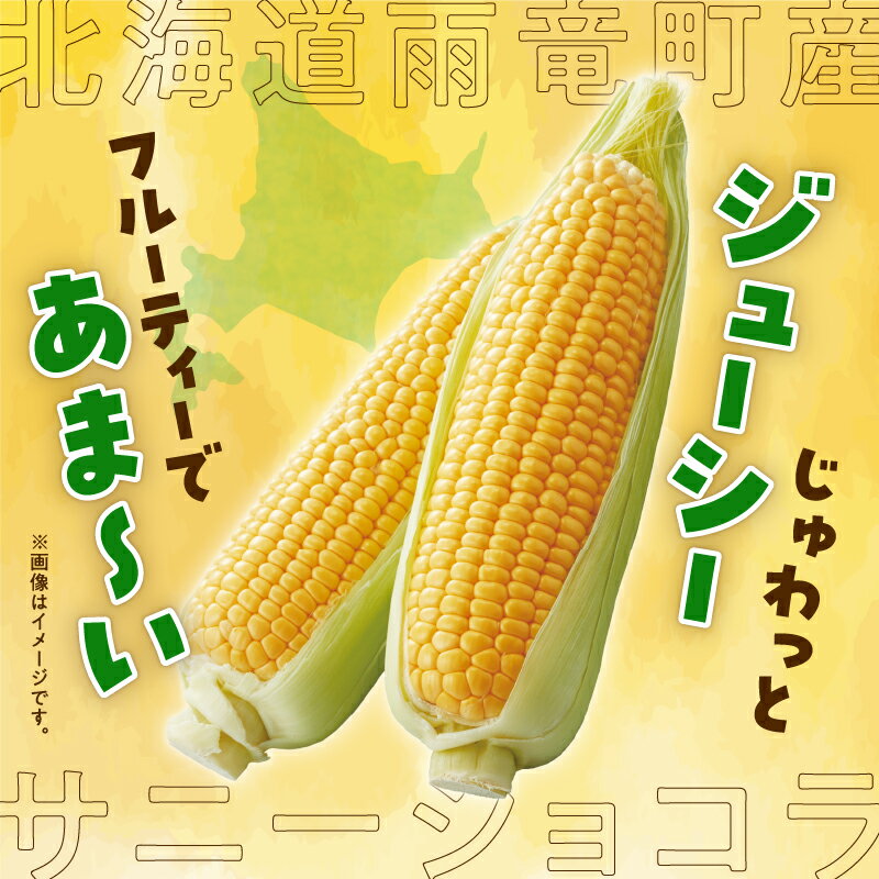 【ふるさと納税】【令和8年産先行受付】生で食べられる！高糖度とうもろこし サニーショコラ 10本（Lサイズ）スイートコーン 野菜 コーン 産地直送 とうきび お取り寄せ BBQ キャンプ 甘い コーンマヨ コーンスープ 【配送不可地域：沖縄・離島】北海道 雨竜町 送料無料 - 画像3