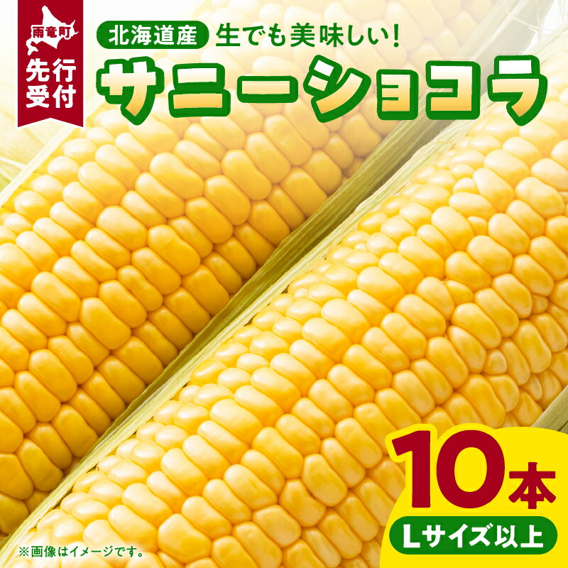 【令和8年産先行受付】生で食べられる！高糖度とうもろこし サニーショコラ 10本（Lサイズ）スイートコーン 野菜 コーン 産地直送 とうきび お取り寄せ BBQ キャンプ 甘い コーンマヨ コーンスープ 【配送不可地域：沖縄・離島】北海道 雨竜町 送料無料