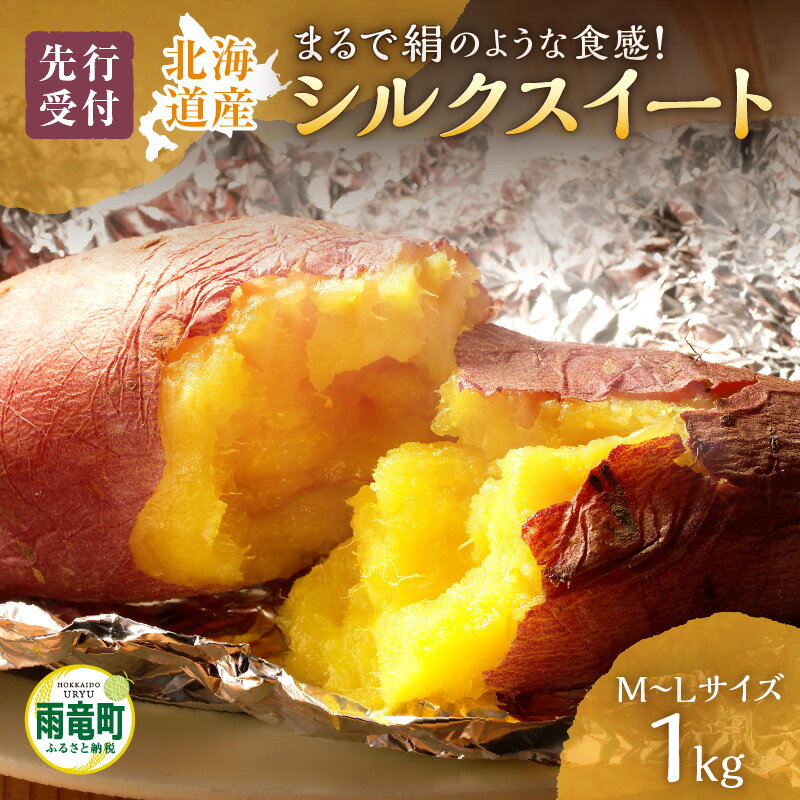 【先行予約】【数量限定】あま～い畑スイーツ！北海道雨竜町産 さつまいも 「シルクスイート」 M-Lサイズ 1kg 芋 お取り寄せ 野菜 BBQ キャンプ ソロキャン 焼き芋 干し芋 芋 栗きんとん スイートポテト 北海道 雨竜町 送料無料