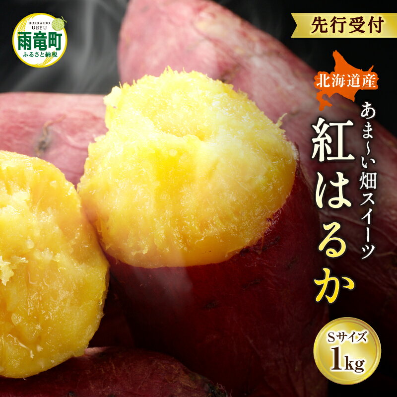 【数量限定】なまら甘い！北海道雨竜町産 さつまいも 「紅はるか」 Sサイズ 1kg 小さめサイズ 産地直送 さつまいも サツマイモ 北海道 国産 おやつ お菓子作り 料理 北海道 雨竜町 送料無料