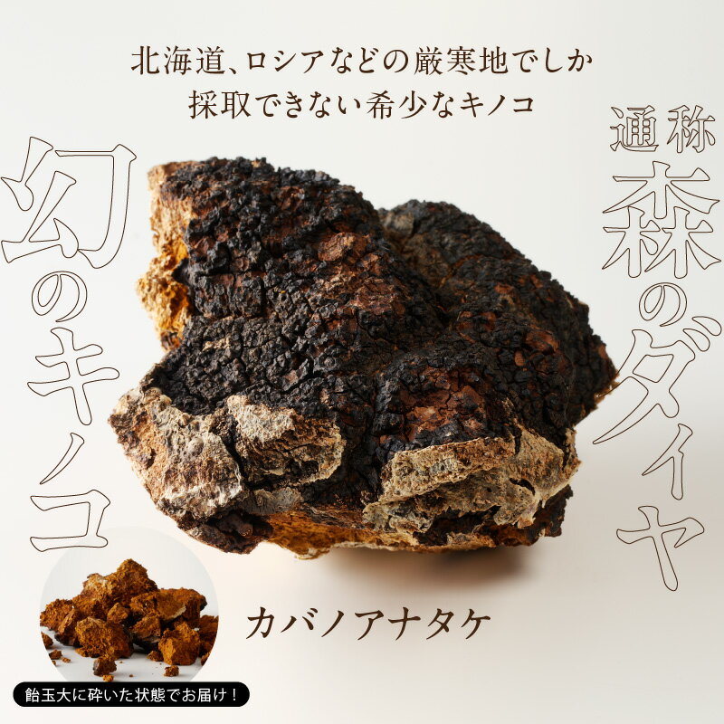 【ふるさと納税】【数量限定】森のダイヤモンド カバノアナタケ 150g カバノアナタケ茶 幻 希少 お茶 きのこ お取り寄せ 北海道 雨竜町 送料無料 - 画像2