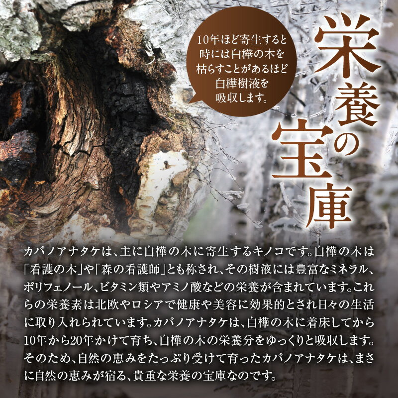 【ふるさと納税】【数量限定】森のダイヤモンド カバノアナタケ 150g カバノアナタケ茶 幻 希少 お茶 きのこ お取り寄せ 北海道 雨竜町 送料無料 - 画像3