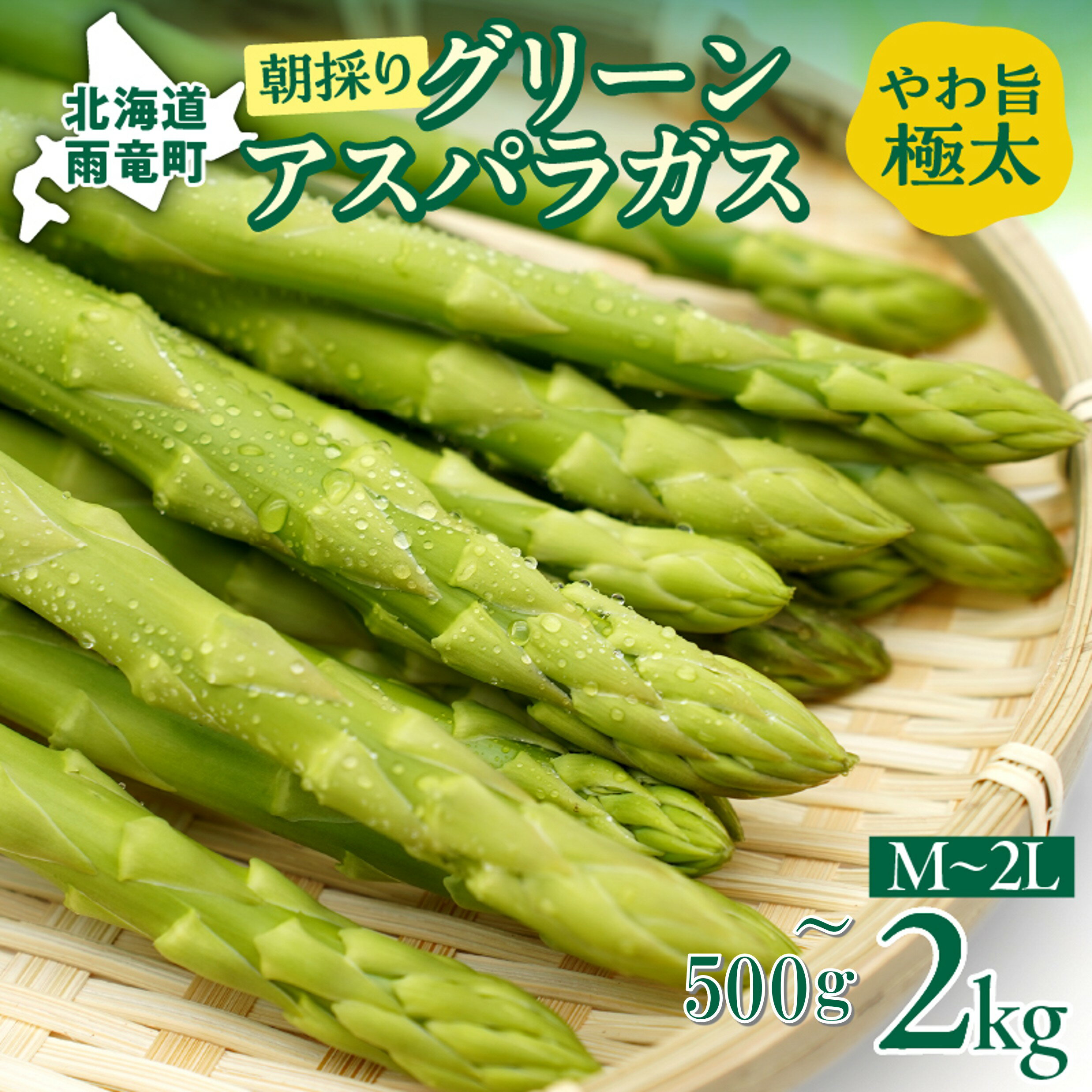 2026年発送 朝採りグリーンアスパラ【 内容量が選べる! 】＜ 川越農場 ＞野菜 春 夏 北海道アスパラ 雨竜町産 パスタ サラダ スープ 旬 やわ旨